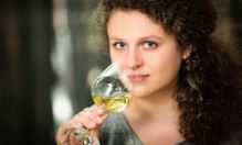 Degustace fantastických vín z Vinařství Volařík
