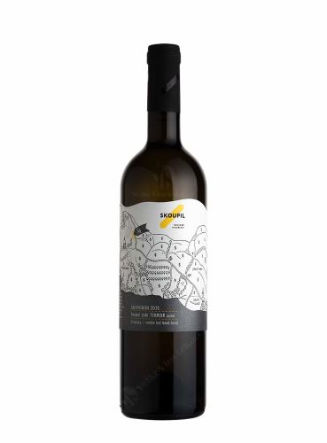 Sauvignon, Terroir, Pozdní sběr, 2016, Vinařství Petr Skoupil, 0.75 l