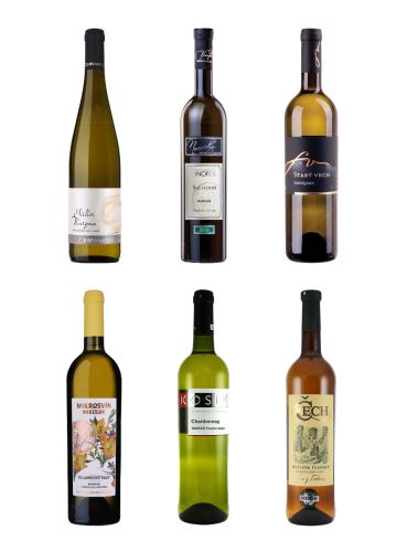 Výběr oceněných bílých vín z Moravy