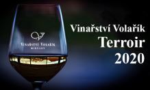 Terroir 2020 a exkluzivní Merlot z Vinařství Volařík