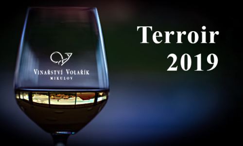 Terroir 2019 a další novinky Vinařství Volařík